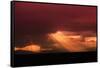 Lighting Time-Philippe Sainte-Laudy-Framed Stretched Canvas
