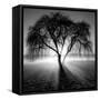 Lighting Tree-Moises Levy-Framed Stretched Canvas