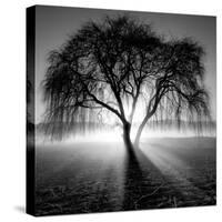 Lighting Tree-Moises Levy-Stretched Canvas