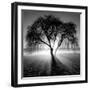 Lighting Tree-Moises Levy-Framed Premium Photographic Print