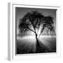 Lighting Tree-Moises Levy-Framed Premium Photographic Print