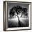 Lighting Tree-Moises Levy-Framed Photographic Print