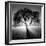 Lighting Tree-Moises Levy-Framed Photographic Print