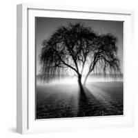 Lighting Tree-Moises Levy-Framed Photographic Print