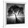 Lighting Tree-Moises Levy-Framed Photographic Print