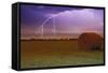 Lighting-null-Framed Stretched Canvas