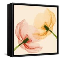 Lightness I-Val Andre-Framed Stretched Canvas