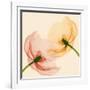 Lightness I-Val Andre-Framed Giclee Print