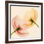 Lightness I-Val Andre-Framed Giclee Print