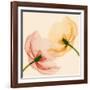 Lightness I-Val Andre-Framed Giclee Print