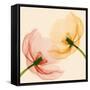 Lightness I-Val Andre-Framed Stretched Canvas