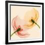 Lightness I-Val Andre-Framed Giclee Print