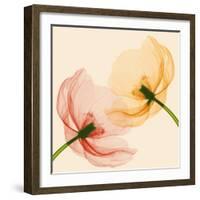 Lightness I-Val Andre-Framed Giclee Print