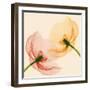 Lightness I-Val Andre-Framed Giclee Print