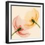 Lightness I-Val Andre-Framed Giclee Print