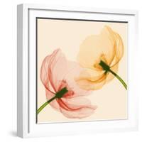 Lightness I-Val Andre-Framed Giclee Print