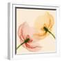 Lightness I-Val Andre-Framed Giclee Print