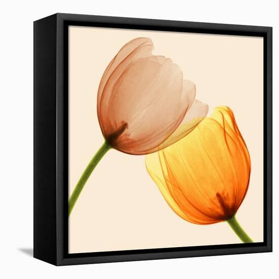 Lightness II-Val Andre-Framed Stretched Canvas