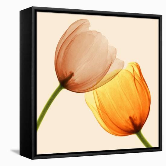 Lightness II-Val Andre-Framed Stretched Canvas