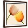 Lightness II-Val Andre-Framed Giclee Print