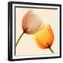 Lightness II-Val Andre-Framed Giclee Print