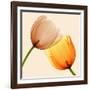 Lightness II-Val Andre-Framed Giclee Print