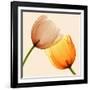 Lightness II-Val Andre-Framed Giclee Print