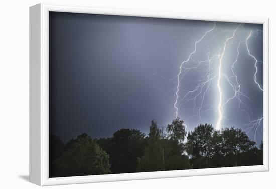Lightning above a wood-Benjamin Engler-Framed Photographic Print