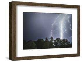 Lightning above a wood-Benjamin Engler-Framed Photographic Print