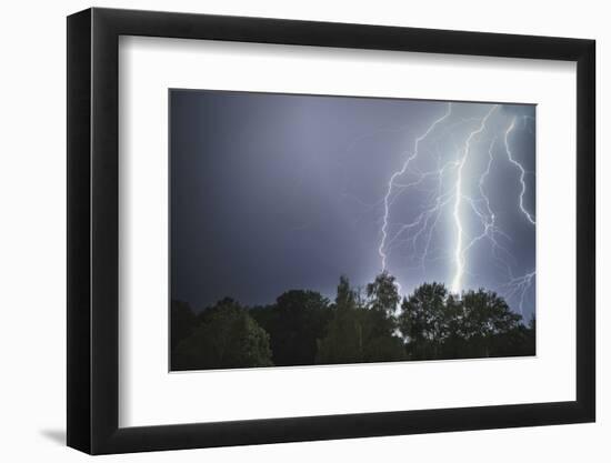 Lightning above a wood-Benjamin Engler-Framed Photographic Print
