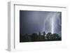 Lightning above a wood-Benjamin Engler-Framed Photographic Print