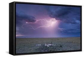 Lightning Above Cheetah with Adolescent Cubs on Termite Mound-null-Framed Stretched Canvas