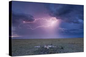 Lightning Above Cheetah with Adolescent Cubs on Termite Mound-null-Stretched Canvas