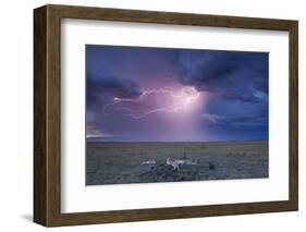 Lightning Above Cheetah with Adolescent Cubs on Termite Mound-null-Framed Photographic Print