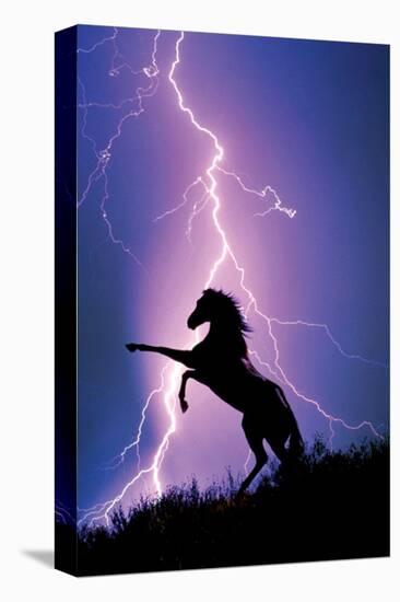 Lightning and Silhouette of a Horse-null-Stretched Canvas