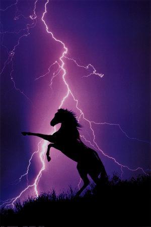 'Lightning and Silhouette of Horse' Posters | AllPosters.com