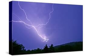 Lightning and Thunder Clouds over Woodland at Night-null-Stretched Canvas