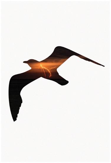 Poster, , large