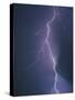 Lightning Bolt-Jim Zuckerman-Stretched Canvas