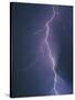 Lightning Bolt-Jim Zuckerman-Stretched Canvas