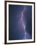 Lightning Bolt-Jim Zuckerman-Framed Photographic Print