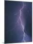 Lightning Bolt-Jim Zuckerman-Mounted Photographic Print