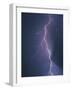 Lightning Bolt-Jim Zuckerman-Framed Photographic Print