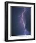 Lightning Bolt-Jim Zuckerman-Framed Photographic Print