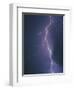 Lightning Bolt-Jim Zuckerman-Framed Photographic Print