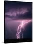 Lightning Bolts-Warren Faidley-Stretched Canvas