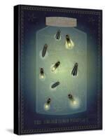 Lightning Bugs-John W Golden-Stretched Canvas