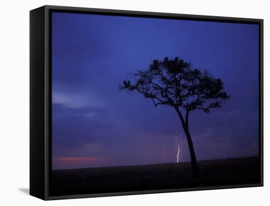 Lightning Flashes on Savanna, Masai Mara Game Reserve, Kenya-Paul Souders-Framed Stretched Canvas