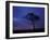 Lightning Flashes on Savanna, Masai Mara Game Reserve, Kenya-Paul Souders-Framed Photographic Print