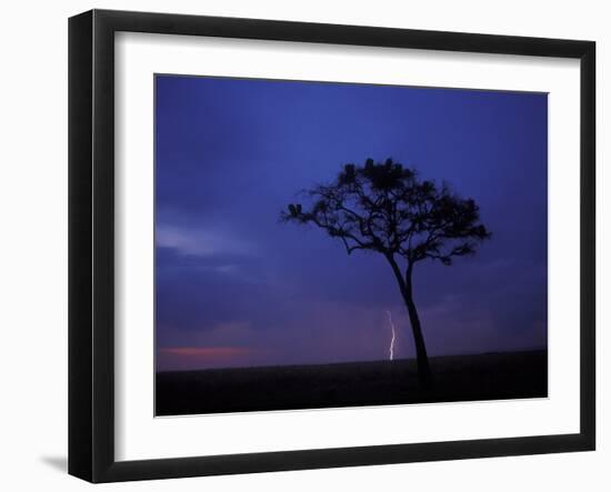 Lightning Flashes on Savanna, Masai Mara Game Reserve, Kenya-Paul Souders-Framed Photographic Print